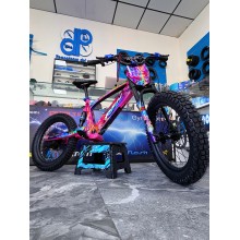 VINILO HOLOGRÁFICO BICICLETA RFN DRAGON BALLZ