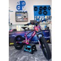 VINILO HOLOGRÁFICO BICICLETA RFN DRAGON BALLZ