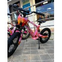 VINILO HOLOGRÁFICO BICICLETA ELECTRICA RFN KAROL G "TROPICOQUETA"