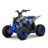 Miniquad 110cc Roan Ratte R6 Automático