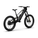 Bicicleta eléctrica sin pedales 1000W 48V RFN EVO PRO 24”