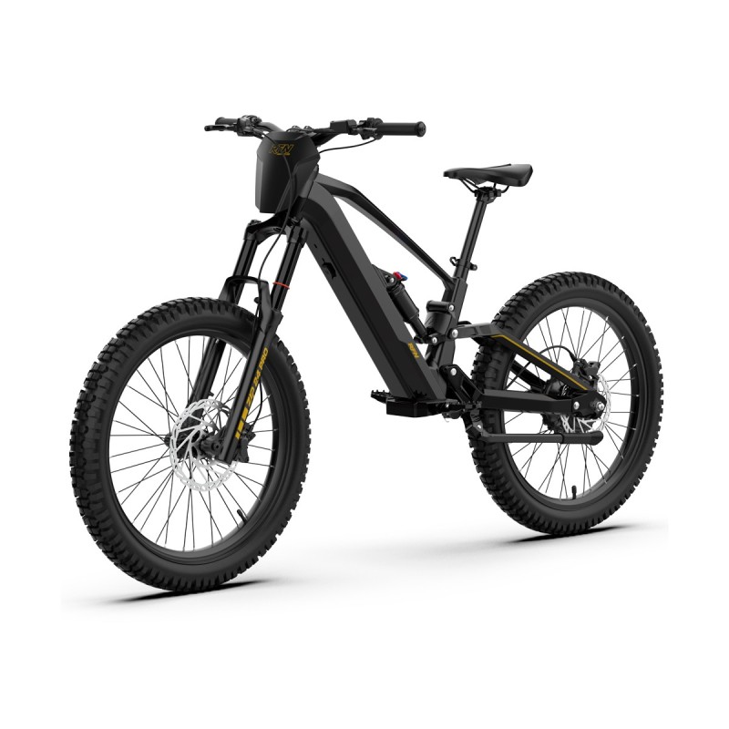 Bicicleta eléctrica sin pedales 1000W 48V RFN EVO PRO 24”