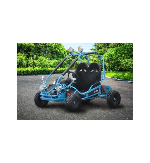 Buggy Eléctrico 750W Brushless