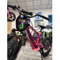 VINILO HOLOGRÁFICO BICICLETA ELECTRICA RFN JC REYES ROSA tecnologia del valle