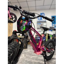 VINILO HOLOGRÁFICO BICICLETA ELECTRICA RFN JC REYES ROSA tecnologia del valle