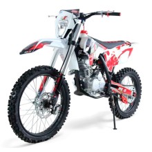 Pit bike REXO 250CC 4T 21/18"