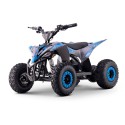 Miniquad eléctrico 1000W 36V Roan RATTE motor brush
