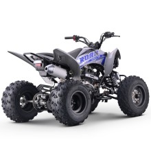 Quad 250cc Roan DAKAR manual R-1-2-3-4 R10 TECNOLOGIA DEL VALLE
