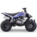 Quad 250cc Roan DAKAR manual R-1-2-3-4 R10 TECNOLOGIA DEL VALLE
