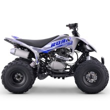 Quad 250cc Roan DAKAR manual R-1-2-3-4 R10