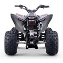 Quad 250cc Roan DAKAR manual R-1-2-3-4 R10 TECNOLOGIA DEL VALLE