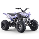 Quad 250cc Roan DAKAR manual R-1-2-3-4 R10 TECNOLOGIA DEL VALLE