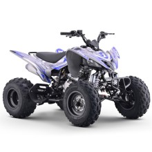 Quad 250cc Roan DAKAR manual R-1-2-3-4 R10 TECNOLOGIA DEL VALLE