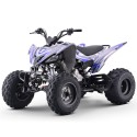 Quad 250cc Roan DAKAR manual R-1-2-3-4 R10