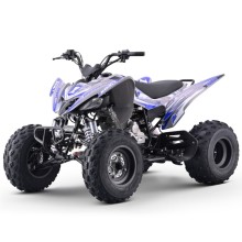 Quad 250cc Roan DAKAR manual R-1-2-3-4 R10