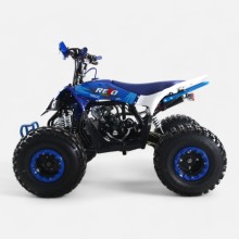 Quad REXO 110CC 4T YH110 Automático