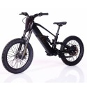 Bicicleta Eléctrica RFN ZIP PRO 20” 1000W 48V