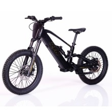 Bicicleta Eléctrica RFN ZIP PRO 20” 1000W 48V