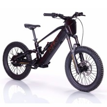 Bicicleta Eléctrica RFN ZIP PRO 20” 1000W 48V