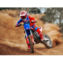 Pit bike eléctrica RFN WARRIOR SX-E15 PLUS 8000W 74V 40Ah 21/18”