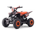 Mini quad gasolina 49cc Roan Ratte R6 - TECNOLOGIA DEL VALLE