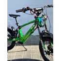 VINILO HOLOGRÁFICO BICICLETA ELECTRICA RFN JC REYES TECNOLOGIA DEL VALLE