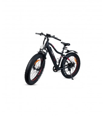 Bicicleta eléctrica XL con ruedas gruesas y guardabarros