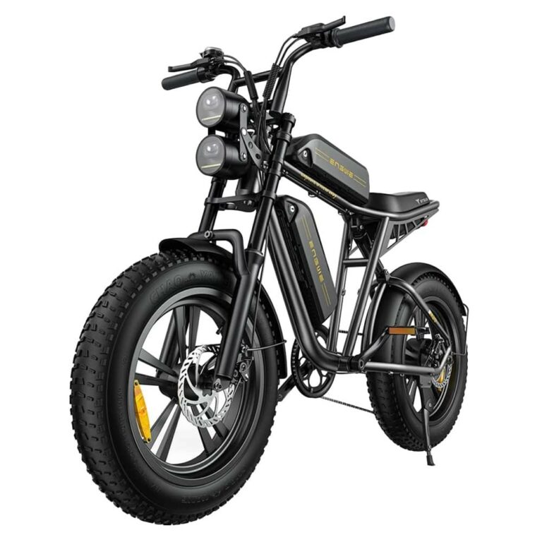 ENGWE M20