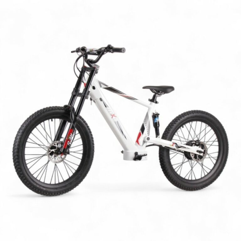 Bicicleta eléctrica REXO RX24 1500W 48V 24/24″