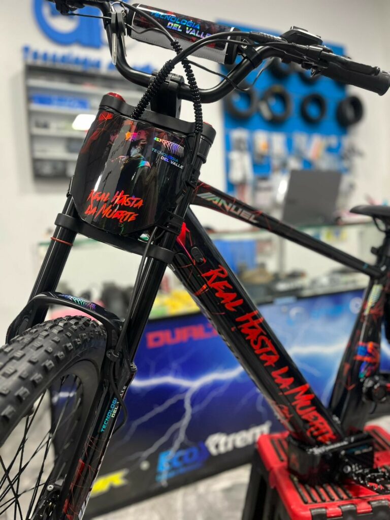 Vinilo Bicicleta eléctrica 24″ Rexo – Anuel RHLM